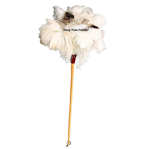 Plumeau D'autruche avec Manche En Bois Dur Parfait pour les Petits Accessoires Informatiques, Voitures, Meubles - Product Image 3