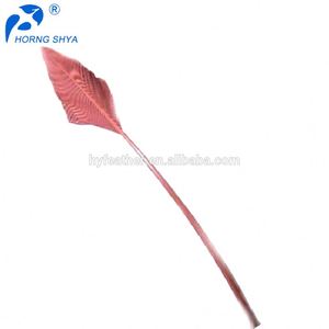 Alibaba Offre Spéciale 10-13 pouces Garnis Turquie Piquants Teints Plumes de Flèche - Product Image 1
