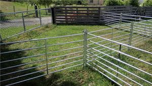 VidaXL Corral <span class=keywords><strong>para</strong></span> Ovejas de 4 Paneles, 183 x 183 x 92 cm, Acero Galvanizado, Madera Tratada Térmicamente, Cercado con Cierre <span class=keywords><strong>para</strong></span> Ovejas - Product Image 4