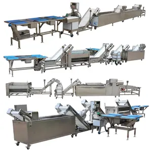 Full automatic fruit and vegetable washing peeling cutting packing drying dryer machine fruit processing machine line