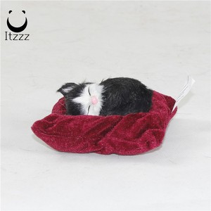 Die kuscheligen, schlafenden katze eines elenden, kuscheltiers passen sich an, als wä<span class=keywords><strong>re</strong></span> er ein akutes tier-puppengeschenk - Product Image 5