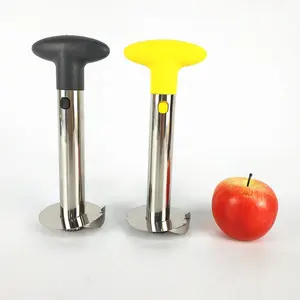 Hot sale Kitchen Tool Stainless Steel Fruit Corer Slicer Pineapple Peeler