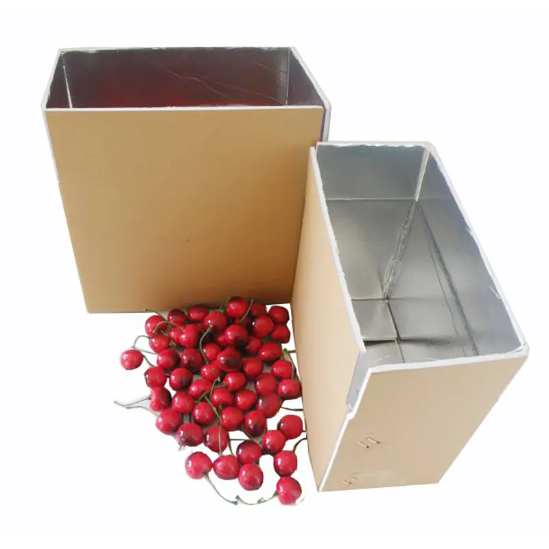 Kotak Kemasan Makanan Beku Kualitas Kuat Kotak Karton Insulasi dengan Busa