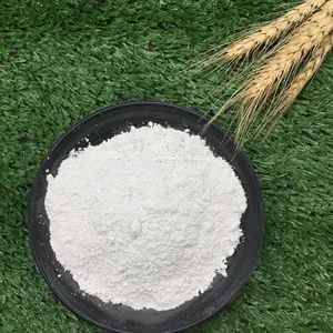 Poudre de talc originale 600 mesh en vrac, sac de 25 kg, talc blanc - Product Image 2