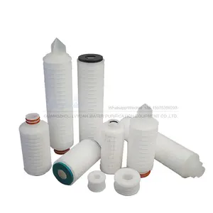 SOE DOE 20 inch geplooide filter cartridge 0.2 micron met PP/PTFE geplooide filter membraan