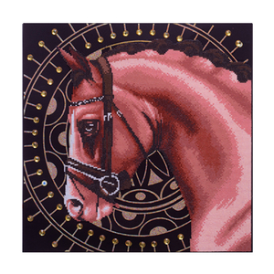 COOLEVE Vente en gros <span class=keywords><strong>Peinture</strong></span> diamantée acrylique 5D de forme spéciale, personnalisable, DIY, nouvelle décoration artistique classique/postmoderne 60*60cm - Product Image 5