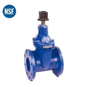 Nước uống dễ uốn sắt ansi150lbs mặt bích cuối NSF được phê duyệt đồng thau đĩa, cao su dòng đĩa Swing kiểm tra van cho - Product Image 3