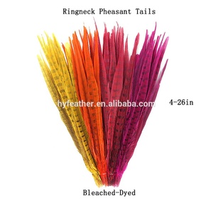 <span class=keywords><strong>Venta</strong></span> al por mayor 4-26 ''Natural barato <span class=keywords><strong>de</strong></span> Ringneck faisán plumas <span class=keywords><strong>de</strong></span> la cola Festival <span class=keywords><strong>de</strong></span> la decoración <span class=keywords><strong>de</strong></span> calidad superior - Product Image 3