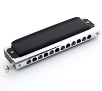 Easttop T12-48K Golden Dreamer 12-Hole Chromatic Harmonica with Zip Pouch Enclosed Competitive Instrument