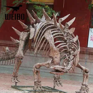 ไดโนเสาร์ไดโนเสาร์ไดโนเสาร์ Skeleton ประติมากรรม