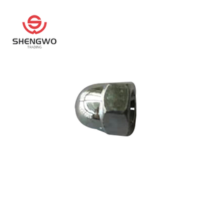 Venta al por mayor fabricante de china de calidad superior <span class=keywords><strong>acron</strong></span> hexagonal cúpula tapa loco DIN319 - Product Image 6