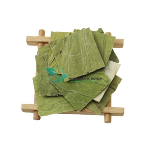Tè in foglia di loto essiccato/polvere/estratto di foglie di loto - Product Image 1
