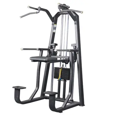 China liefert neues Design hochwertige Fitness-Glute-Maschine Fitness EM1025 Dip/Chin Assist