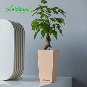 Leizisure Office Table Plastic Mini Small Tall Square Maceta para plantas con autorretrato, Macetero, Maceta - Product Image 3