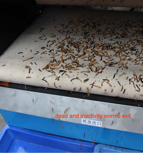 Mealworm automatique séparant la sélection de la trieuse de coléoptère - Product Image 6