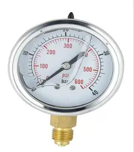 63mm edelstahl seismische manometer