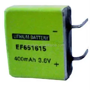 Enbar EF651625 3.6V 750mAh Lithium Battery EF651625