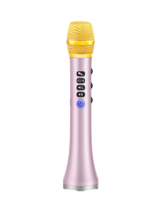 Microphone sans fil portable professionnel rechargeable Dewant L-698DSP 20W DSP avec haut-parleur
