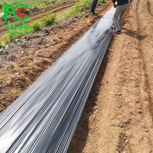 <span class=keywords><strong>Film</strong></span> de paillage en <span class=keywords><strong>polyéthylène</strong></span> LDPE de 30 microns pour l'agriculture, <span class=keywords><strong>film</strong></span> de paillage argenté <span class=keywords><strong>noir</strong></span> - Product Image 6