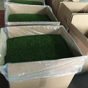 Serpihan <span class=keywords><strong>ulva</strong></span> laktuca kering hijau Aonori rumput laut gulma untuk camilan AOSA - Product Image 3
