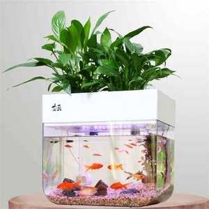 어항 및 화분 및 재배자와 가정 또는 정원을위한 미니 실내 Aquaponics 수족관 화분 - Product Image 6