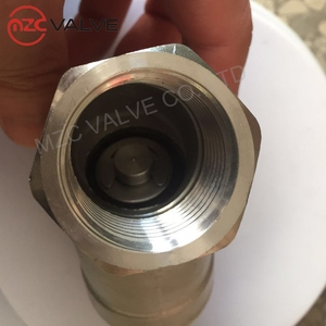 Nữ Chủ Đề Thép Không Gỉ Y Loại Mùa Xuân Nạp Kiểm Tra Van - Product Image 4