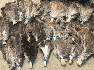 Venta al por mayor plumas de <span class=keywords><strong>avestruz</strong></span> <span class=keywords><strong>comprar</strong></span> plumas de <span class=keywords><strong>avestruz</strong></span> venta al por mayor plumas de <span class=keywords><strong>avestruz</strong></span> de la boda - Product Image 4