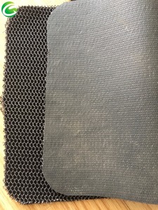 Nueva PVC producto de alta resiliencia estera <span class=keywords><strong>del</strong></span> pie <span class=keywords><strong>del</strong></span> coche alfombra para la prueba <span class=keywords><strong>del</strong></span> polvo - Product Image 3