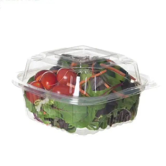 Custom Pet trasparente contenitore di verdure con coperchio in plastica a conchiglia usa e getta per le erbe viventi di lattuga
