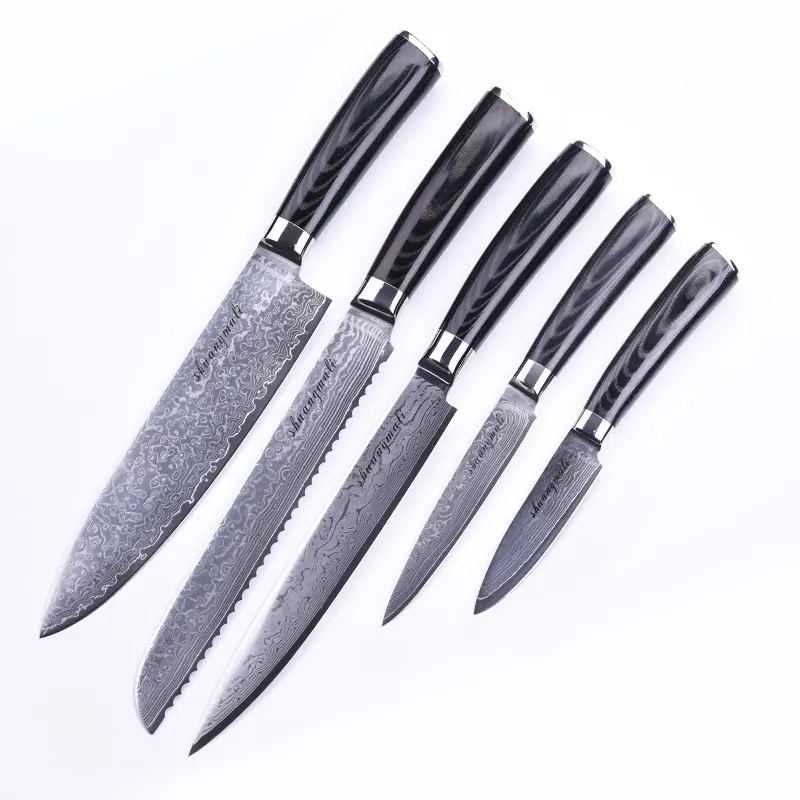 Alta calidad 5 pcs cuchillo 67 capas de acero de Damasco vg10 conjunto de cuchillos de cocina