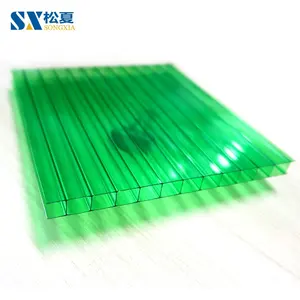 Clear Zon Vel Twinwall Polycarbonaat Plaat 10Mm 12Mm 16Mm Polycarbonaat Plaat Plastic Voor Greenhouse Farm