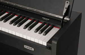 Venta al por mayor NUX WK-360 Pantalla LCD de 88 teclas, <span class=keywords><strong>piano</strong></span> de cola digital eléctrico con altavoz - Product Image 3