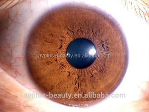 AYJ-J013 5.0MP high resolution USB <strong>iridology</strong> analysis pro camera <strong>iridology</strong> - Product Image 6
