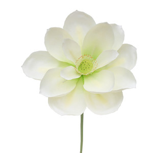 <span class=keywords><strong>Di</strong></span> alta qualità <span class=keywords><strong>di</strong></span> plastica artificiale <span class=keywords><strong>fiore</strong></span> <span class=keywords><strong>di</strong></span> loto giglio <span class=keywords><strong>di</strong></span> acqua per il giardino e decorazione della casa del <span class=keywords><strong>fiore</strong></span> - Product Image 6