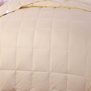 2025 lớn OEM đặt hàng dịch vụ chất lượng cao Reversible sợi nhỏ lông xuống Comforter/Duvet/Chăn xuống chăn cắm trại - Product Image 3