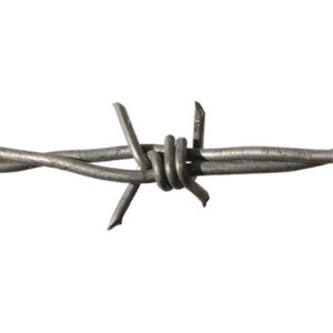 <span class=keywords><strong>Alambre</strong></span> <span class=keywords><strong>de</strong></span> Púas <span class=keywords><strong>de</strong></span> <span class=keywords><strong>Acero</strong></span> Galvanizado <span class=keywords><strong>de</strong></span> 3 mm <span class=keywords><strong>de</strong></span> Diámetro con Descuento - Product Image 2