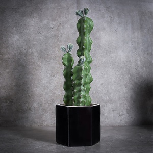 Vente chaude Décoration De La Maison En Céramique D'intérieur En Pot Plante Succulente <span class=keywords><strong>Grand</strong></span> <span class=keywords><strong>Cactus</strong></span> Artificiel - Product Image 3