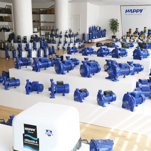 Español fácil ac motor eléctrico tipo bomba <span class=keywords><strong>de</strong></span> agua <span class=keywords><strong>de</strong></span> automóvil 200 W - Product Image 6