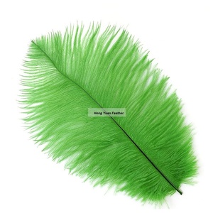 <span class=keywords><strong>Acheter</strong></span> blanc artificielle d'autruche maîtresses de couleur terne grand boa en vrac <span class=keywords><strong>plumes</strong></span> d'autruche ventilateur - Product Image 6