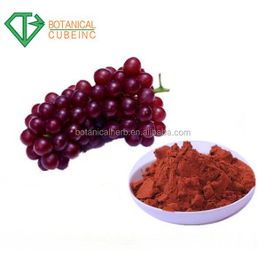 GMP suministro negro soluble en agua Extracto de semilla de uva (alto valor ORAC) 95% poanthocyanidine OPC - Product Image 5