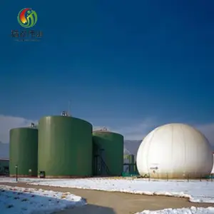Years auto control high quality biogas storage bag for sale biogas containers sewage disposa for jcwy oem customized industry and fuel