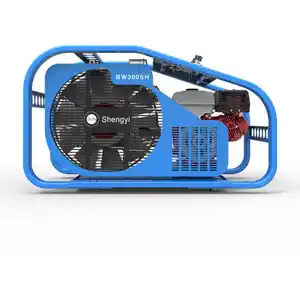 300 Bar High Pressure Breathing Pcp Electric Air Compressor for Scuba Diving & Firefighting