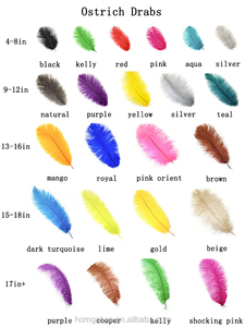 Venta al por mayor plumas de <span class=keywords><strong>avestruz</strong></span> <span class=keywords><strong>comprar</strong></span> plumas de <span class=keywords><strong>avestruz</strong></span> venta al por mayor plumas de <span class=keywords><strong>avestruz</strong></span> de la boda - Product Image 2
