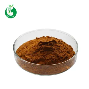 Chiết Xuất Bột Rhodiola Rosea Với Số Lượng Lớn Giá Tốt Nhất