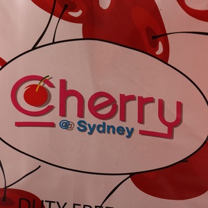 Thân Thiện Với Môi Biểu Tượng Tùy Chỉnh In Tote Túi Nhiều Lớp Có Thể Tái Chế Không Dệt Mua Sắm Tái Sử Dụng PP Chất Liệu Ngân Không-Thân Thiện Với Thư - Product Image 6