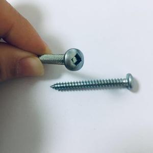 Square drive <span class=keywords><strong>pan</strong></span> tornillo <span class=keywords><strong>autorroscante</strong></span> de <span class=keywords><strong>cabeza</strong></span> de tornillo de madera - Product Image 5