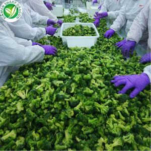 Fresco vegetales congelados IQF a granel brócoli para venta - Product Image 5