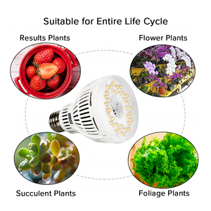 220VAC 120VAC Grow Light Bulb15W 24W <span class=keywords><strong>36W</strong></span> Spectrum LED Plant Light Bulb para plantar en interiores Jardinería Green House - Product Image 3
