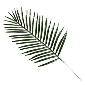 Different type palm leaf plant foliage fabric artificial palm tree leaves