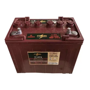 <span class=keywords><strong>12V</strong></span> 150ah T1275 トロージャン ディープサイクルバッテリー ゴルフカート用 - Product Image 1
